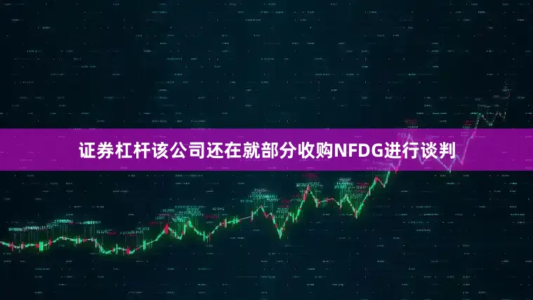 证券杠杆该公司还在就部分收购NFDG进行谈判