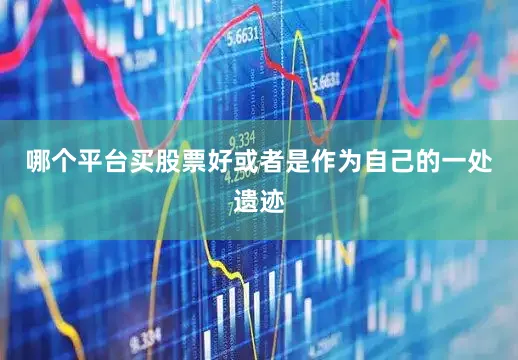 哪个平台买股票好或者是作为自己的一处遗迹