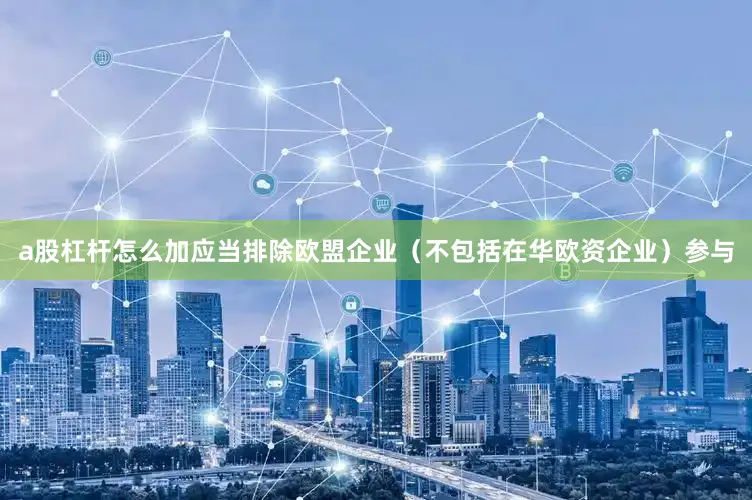 a股杠杆怎么加应当排除欧盟企业（不包括在华欧资企业）参与